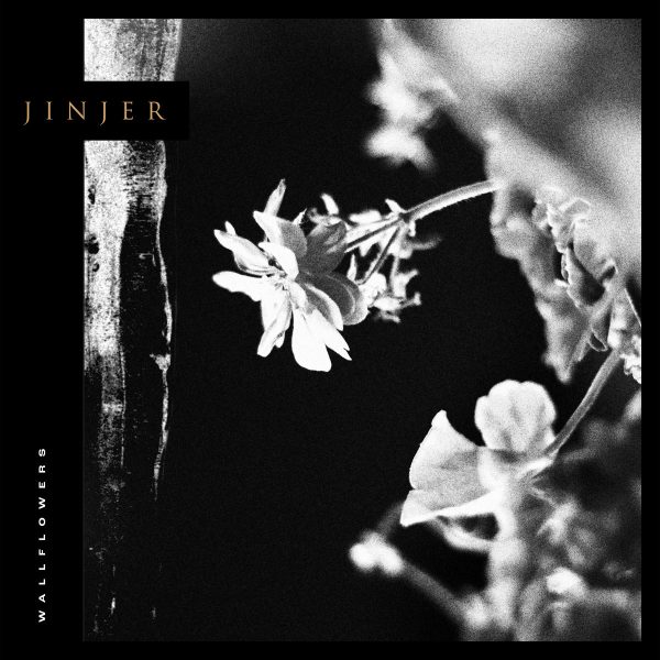 Jinjer wallflowers