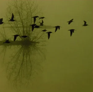 Dusk – ...Majestic Thou In Ruin