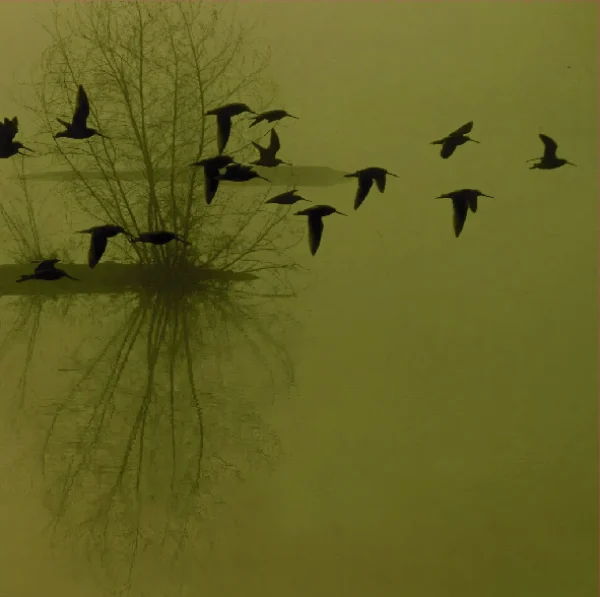 Dusk – ...Majestic Thou In Ruin