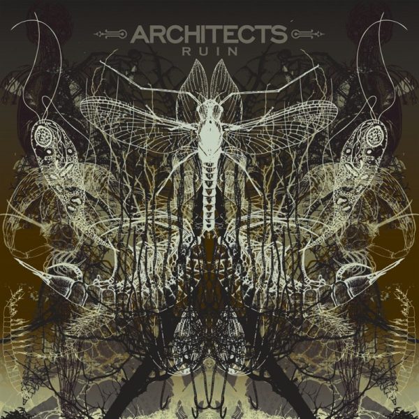 Architects – Ruin