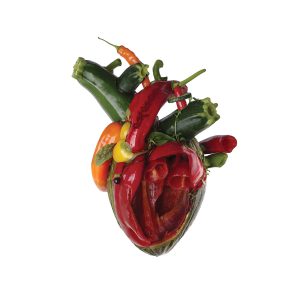 Carcass – Torn Arteries