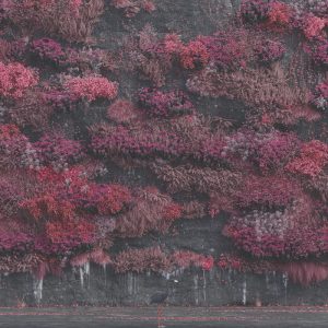 Sleep Token – Even In Arcadia