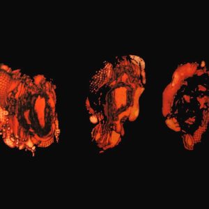 Deathspell Omega – Kénôse